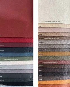 Polinova Atlantis Schlafsofa Leder Outlet