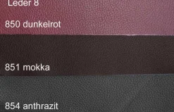 Dietsch Polstermöbel GmbH Dietsch Motion TV Sessel mit Relaxfunktion Leder und mehr