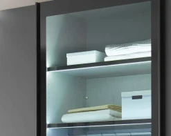 Wiemann Möbel Dubai Kleiderschrank mit durchsichtigen Glastüren Best