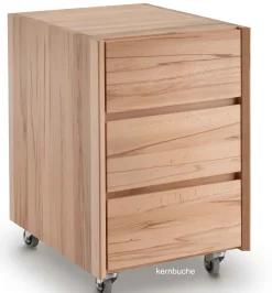 TPT Möbel Florenz Stehschreibtisch höhenverstellbar Holz New
