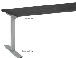 Maja Möbel Höhenverstellbarer Schreibtisch elektrisch 160x80 Hot