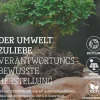 Schröder Wohnmöbel Kitzalm Wohnwand kernbuche modern Outlet