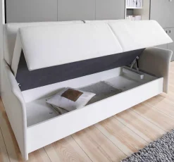 Nehl 2RaumWunder Schrankbett mit Sofa Sale