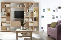 Wehrsdorfer Solution Bücherregal Fernsehfach Outlet