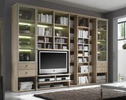 Wehrsdorfer Studio Bücherregal mit TV-Element Online